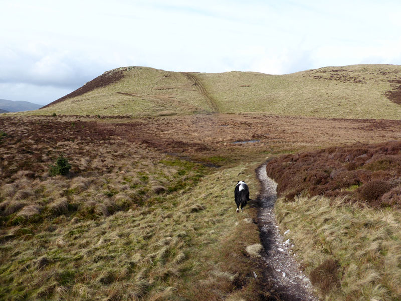 Whinlatter Fell