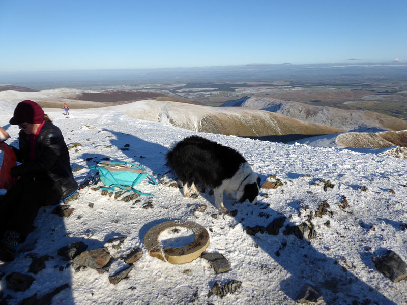 Molly on top of Blencathra