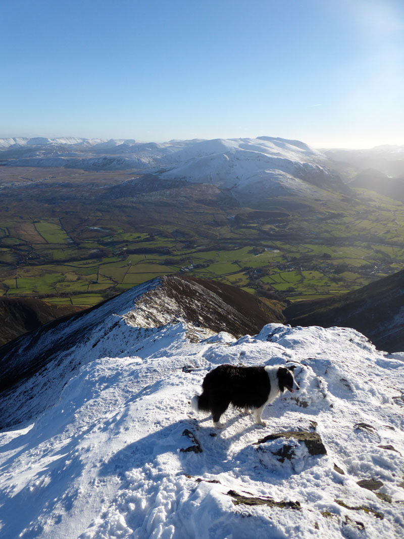 Hall's Fell