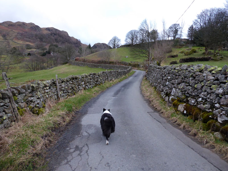 Kentmere