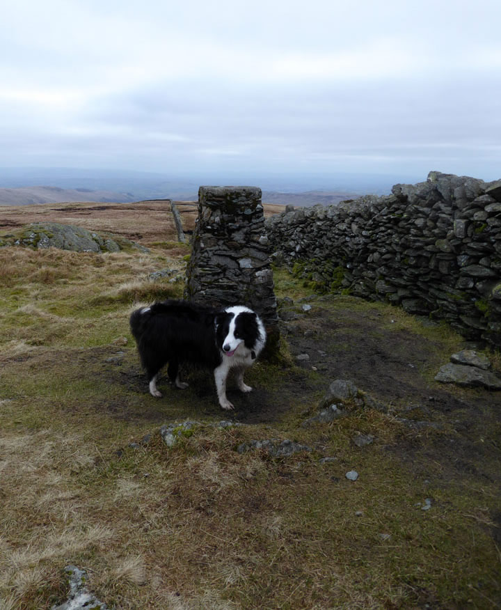 Kentmere Pike Trig Point