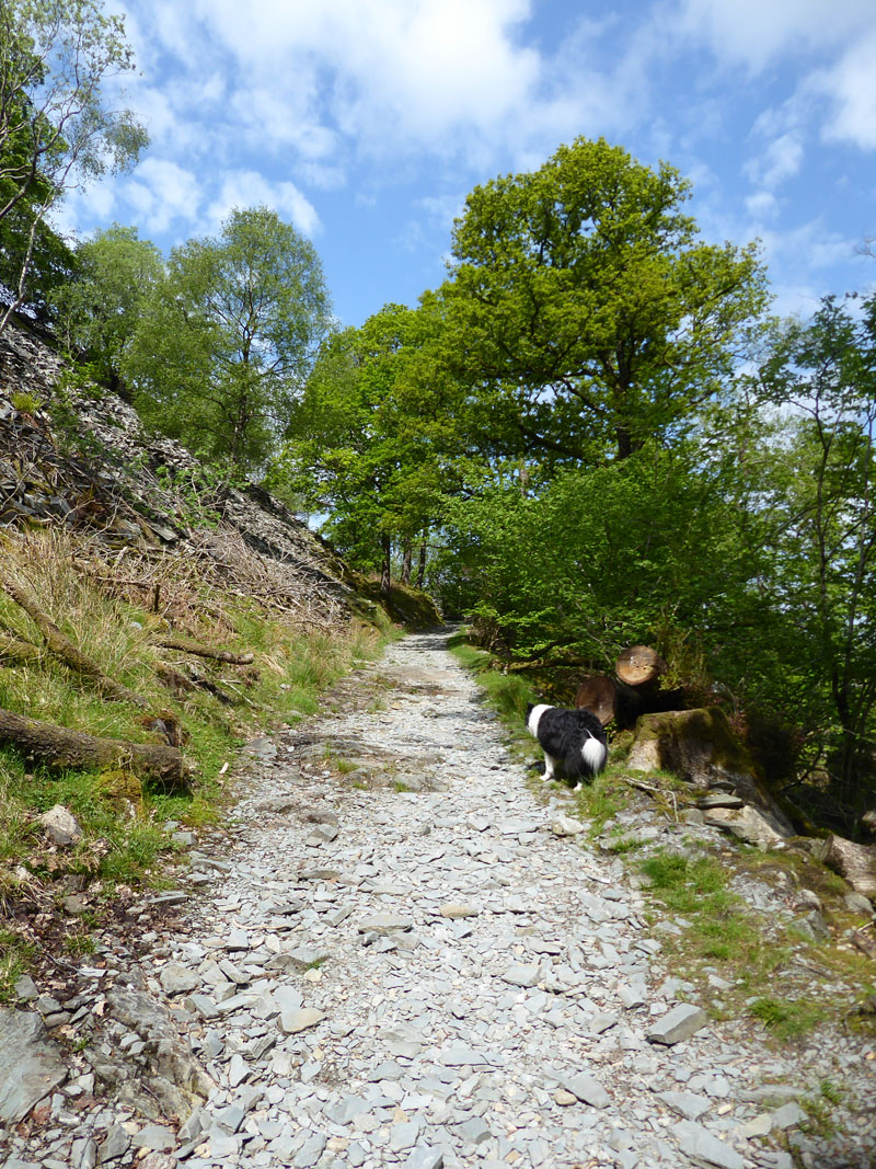 Lingmoor Quarry Track