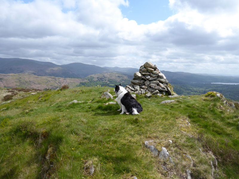 Molly at Cairn 343