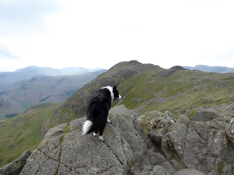 Molly Pavey Ark