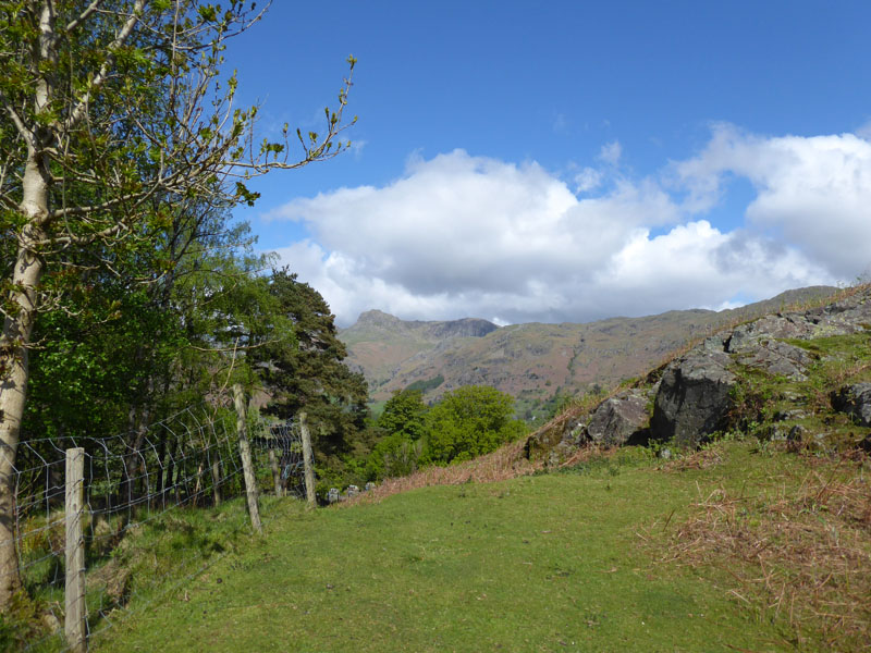 Langdale Pikes