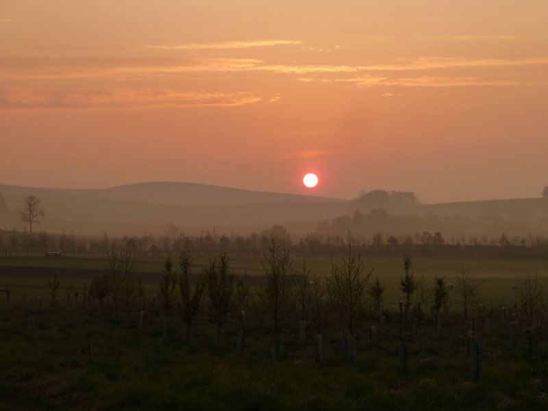 Sunrise