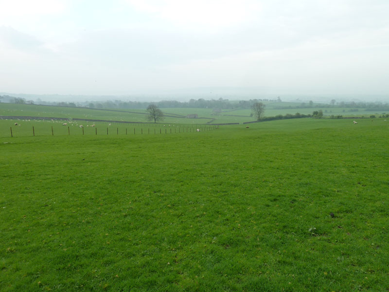Ingleton Fields