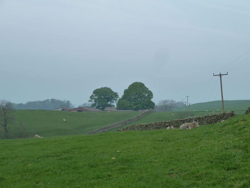 Fell Side
