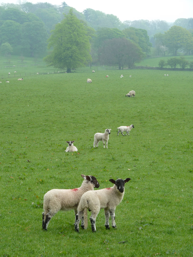 Leck Hall