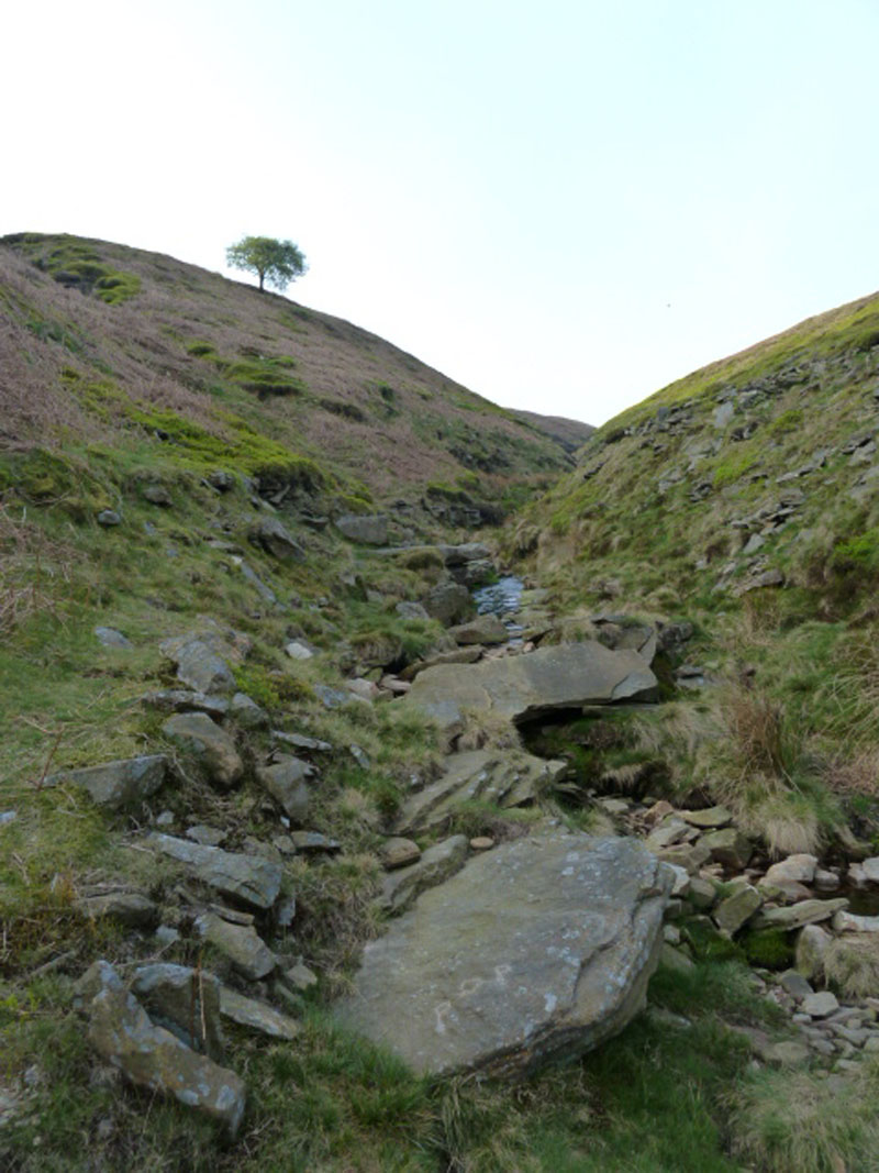 Boar Clough