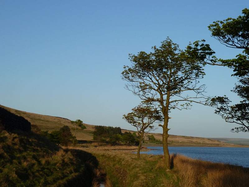 Widdop