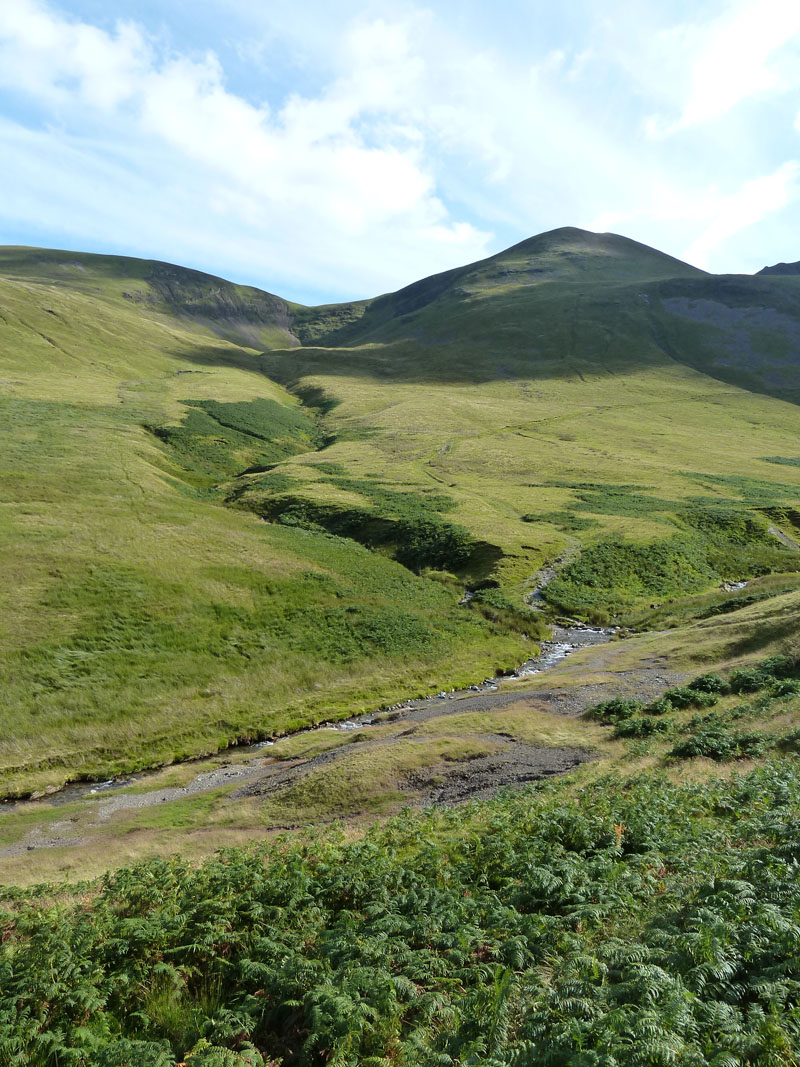 Coledale