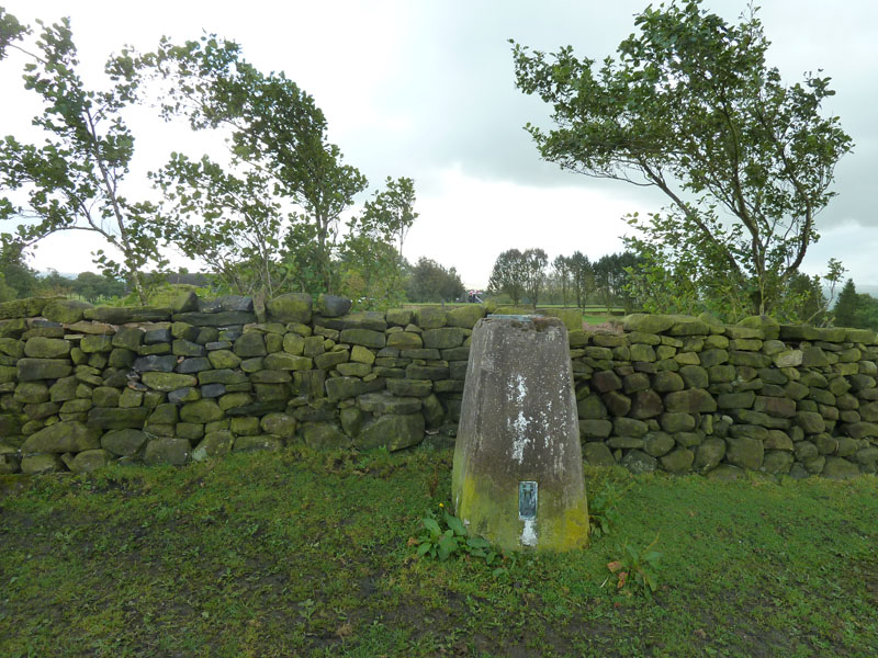 Trig Column