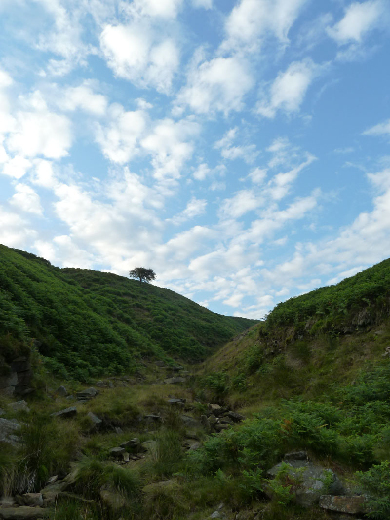 Boar Clough