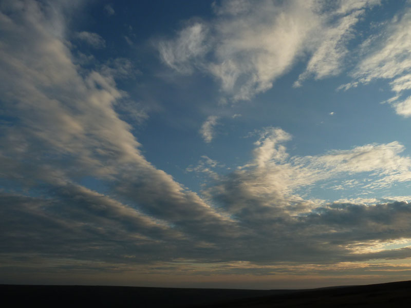Summer Sky