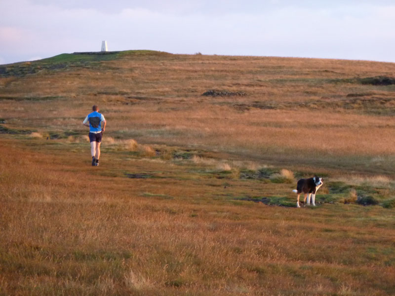 Runner and Dog