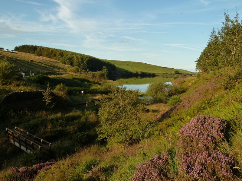 Ogden Reservoirs