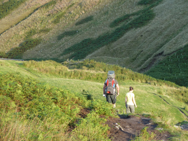 Ogden Clough