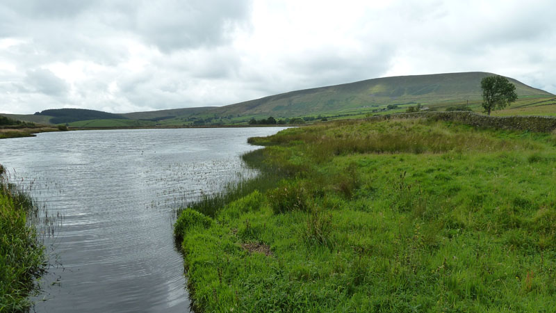 Upper Black Moss