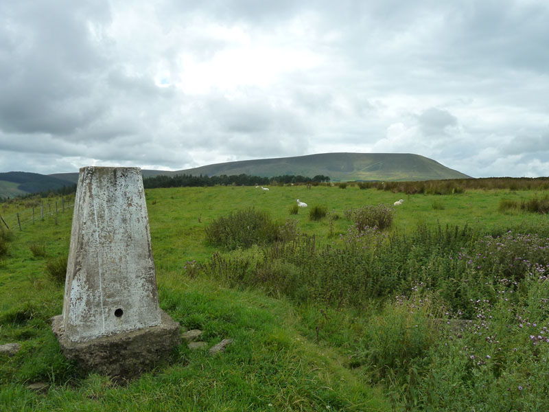 Stang Top Moor