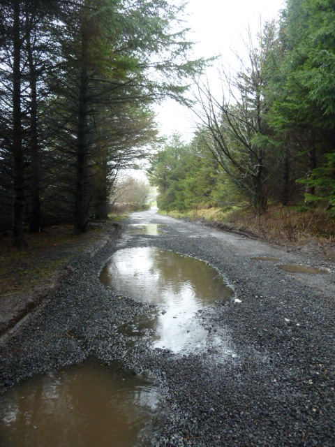 Pendle Lane