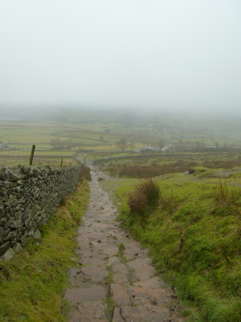 The Steps