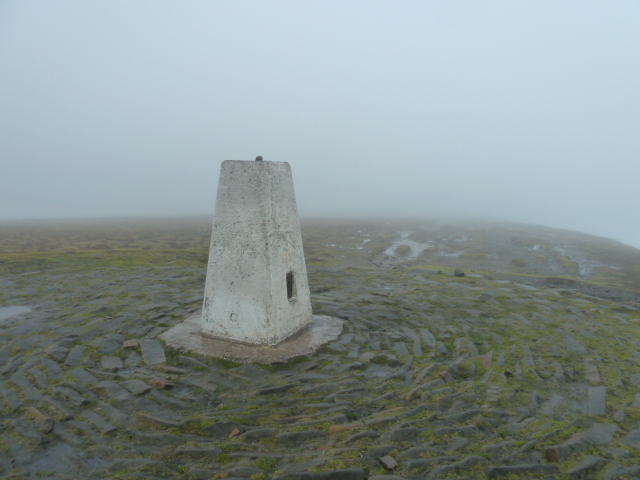 The Summit