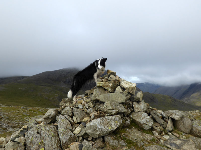 Molly Allen Crags