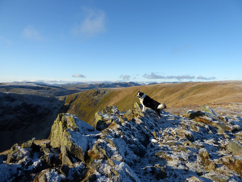 Kidsty Pike Molly