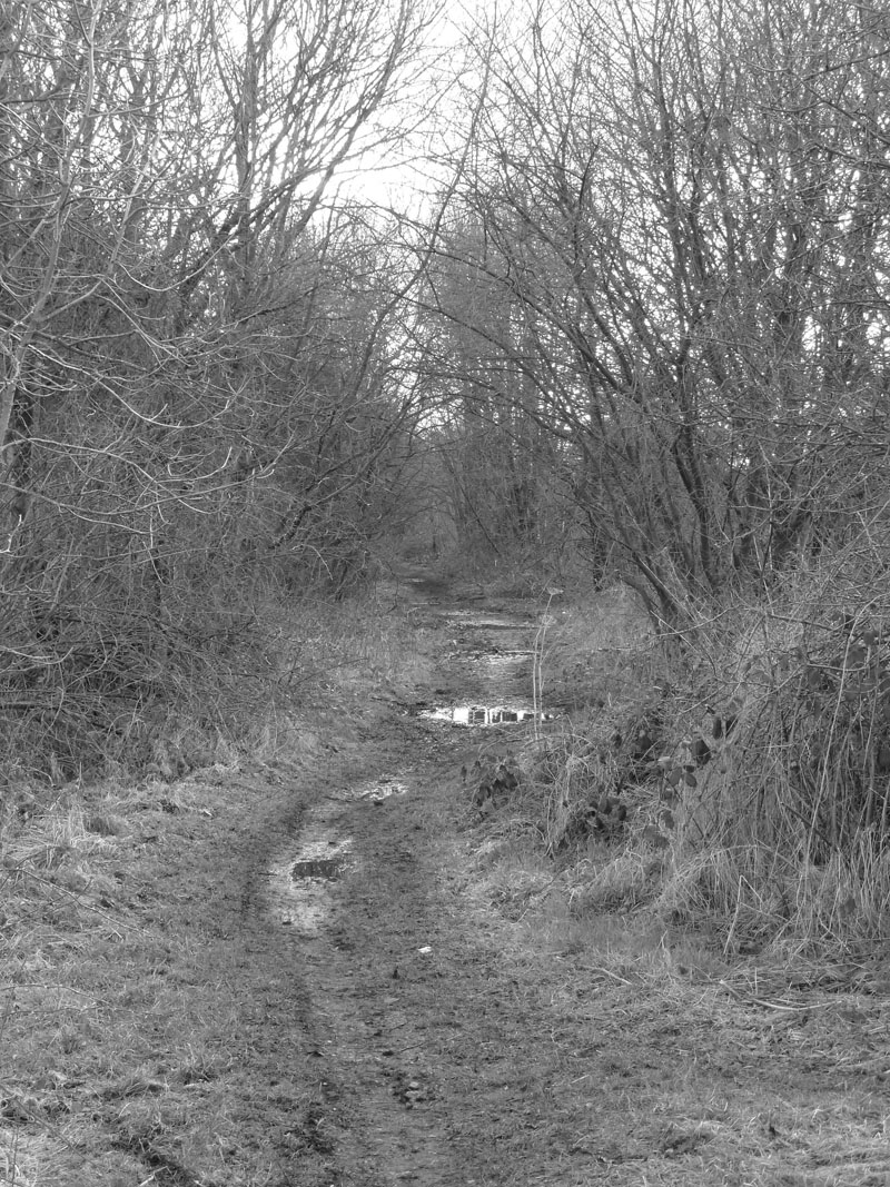 Railway Trackbed
