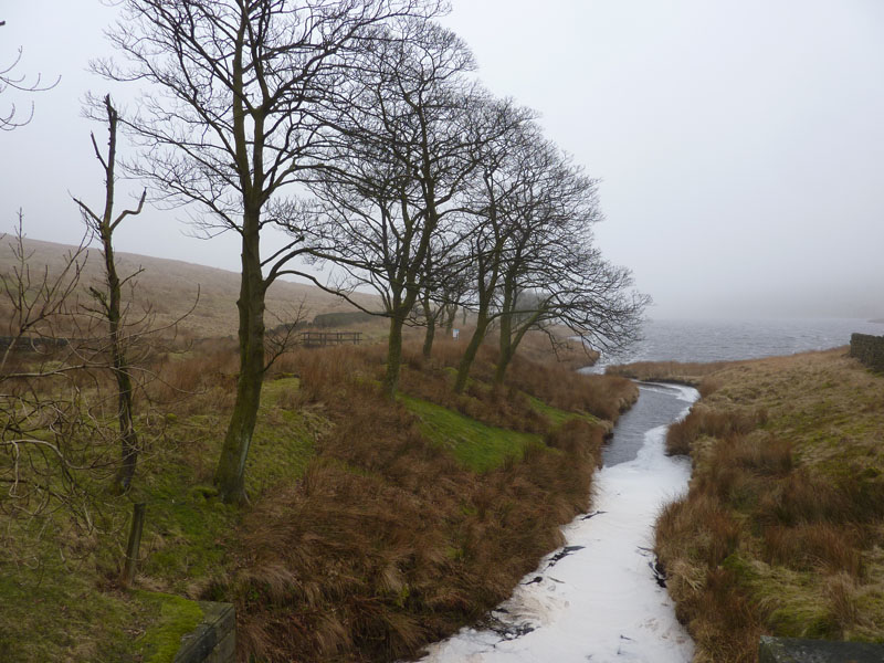 Widdop