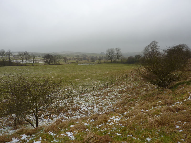 Fields