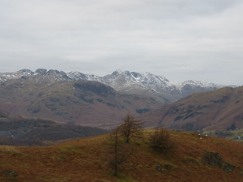 Bowfell