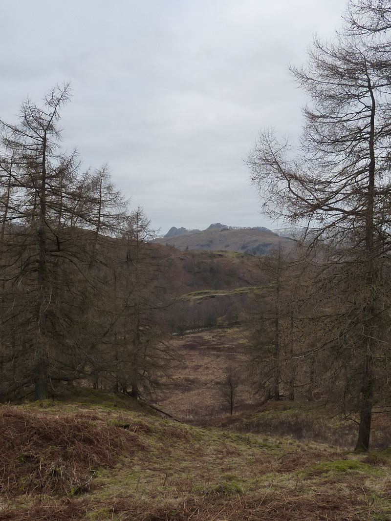 Langdales