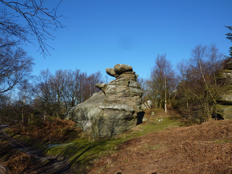 Brimham Rocks