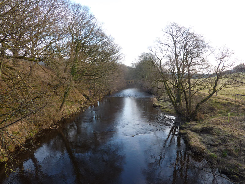 River Nidd