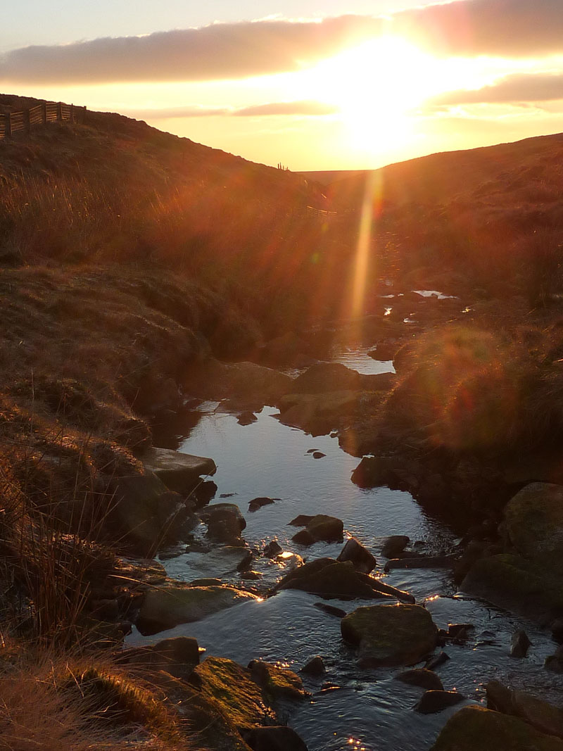 Ogden Clough