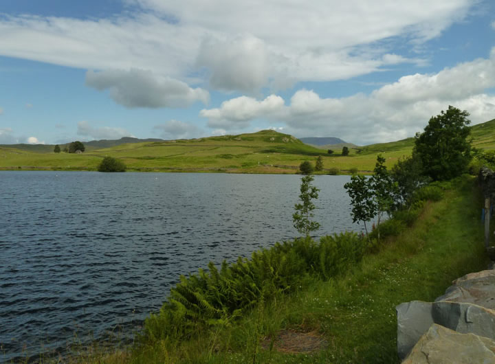 Dubbs Reservoir