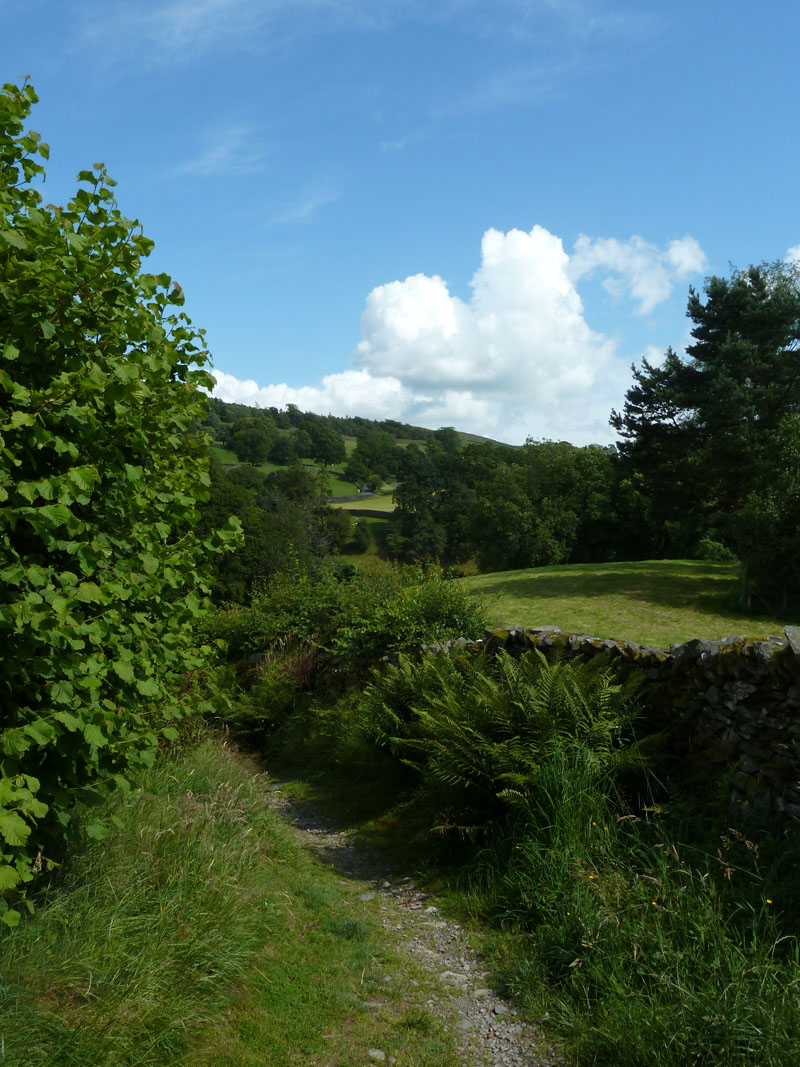 Troutbeck Lane