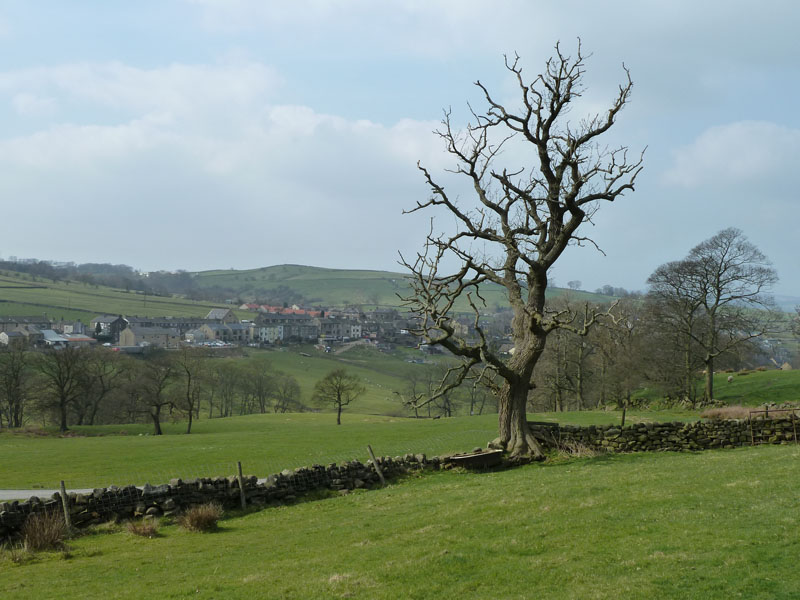 Trawden