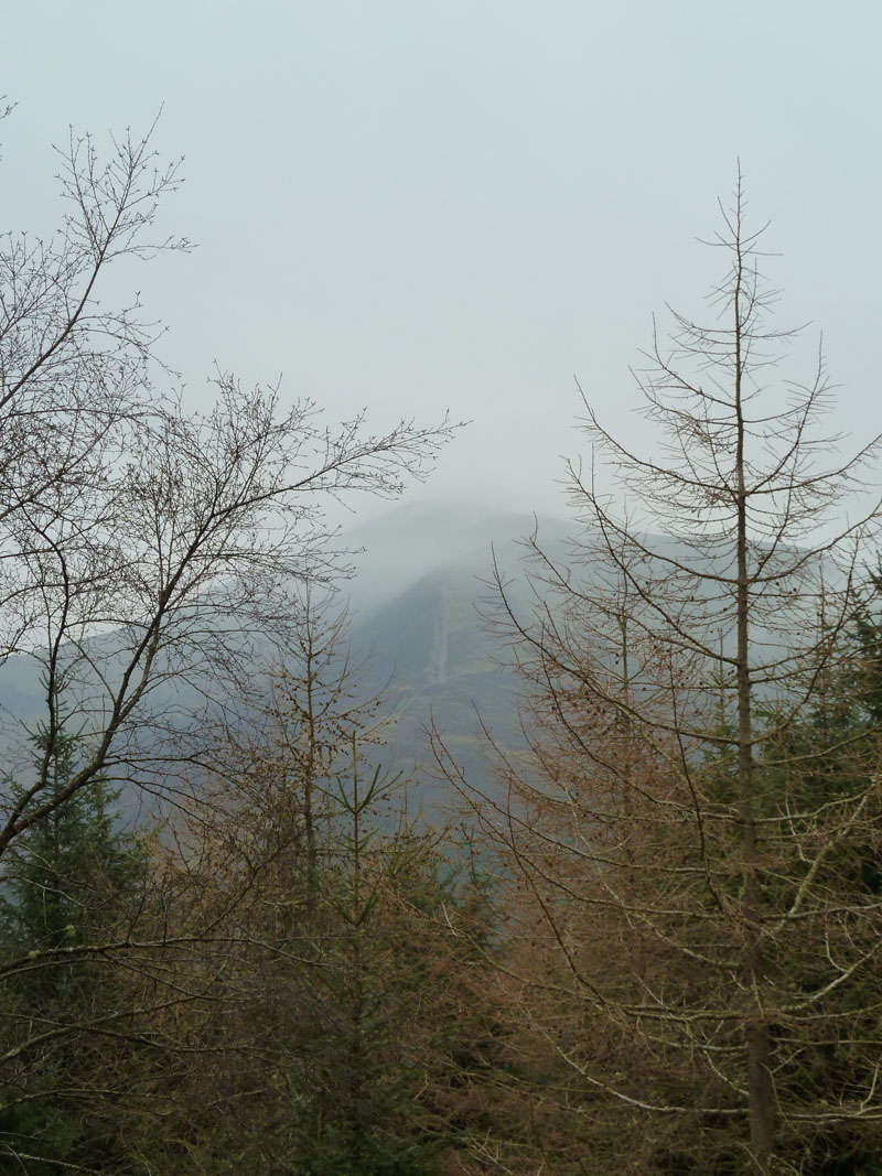 Whinlatter