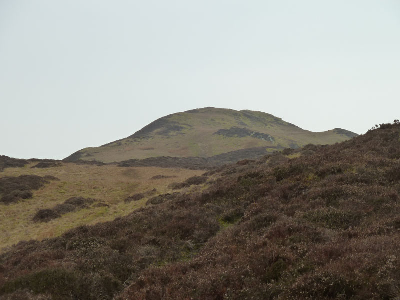 Whinlatter