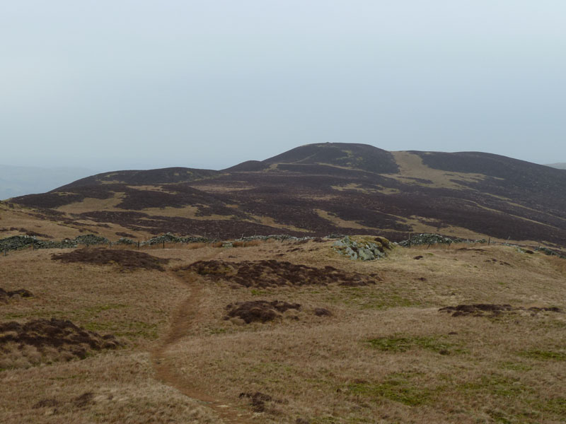 Whinlatter