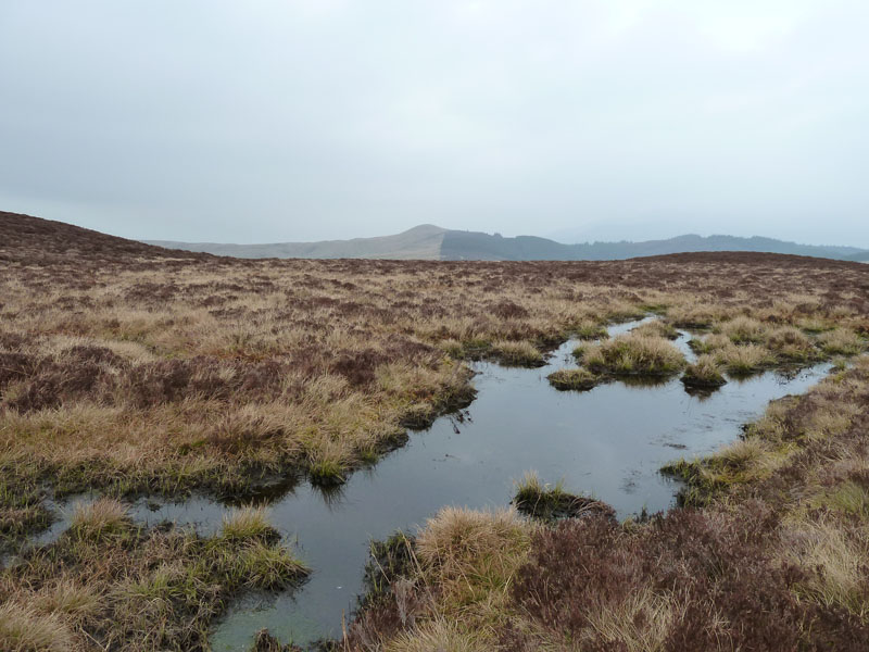Lord's Seat