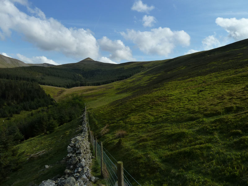 Ladyside Pike