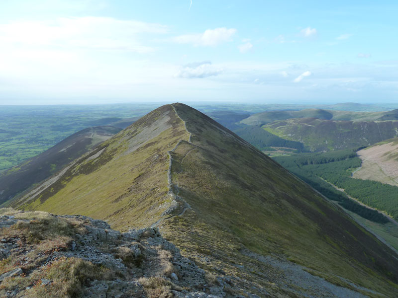 Ladyside Pike