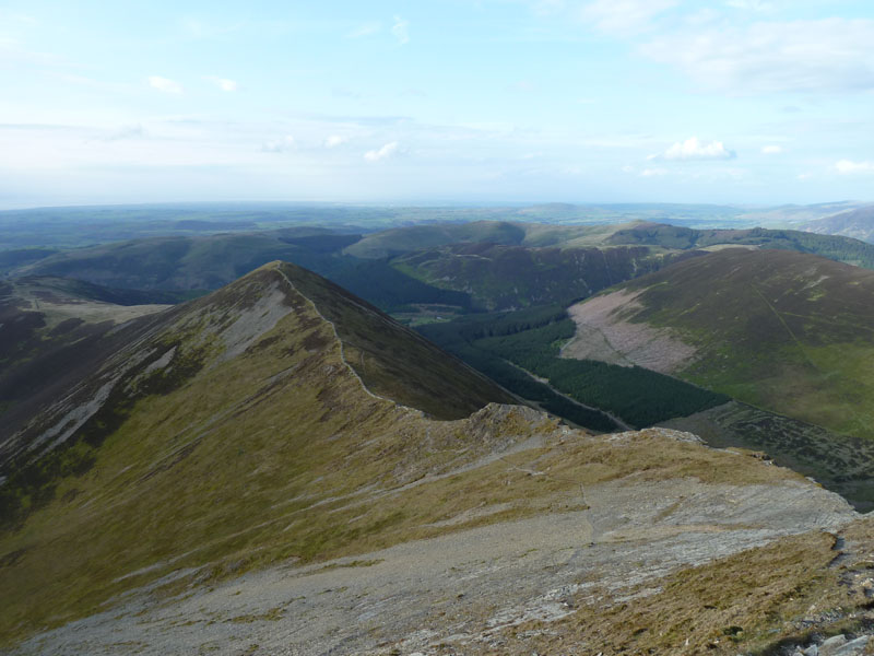 Ladyside Pike