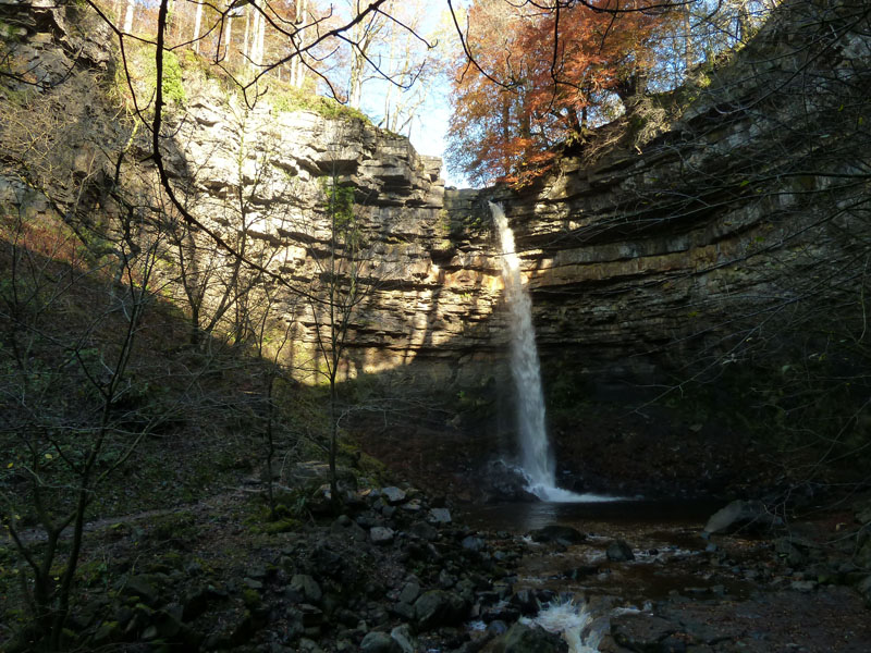 Hardraw Force