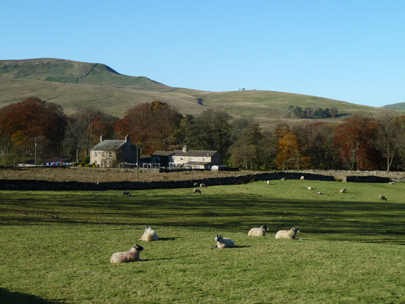 Thorney Mire House