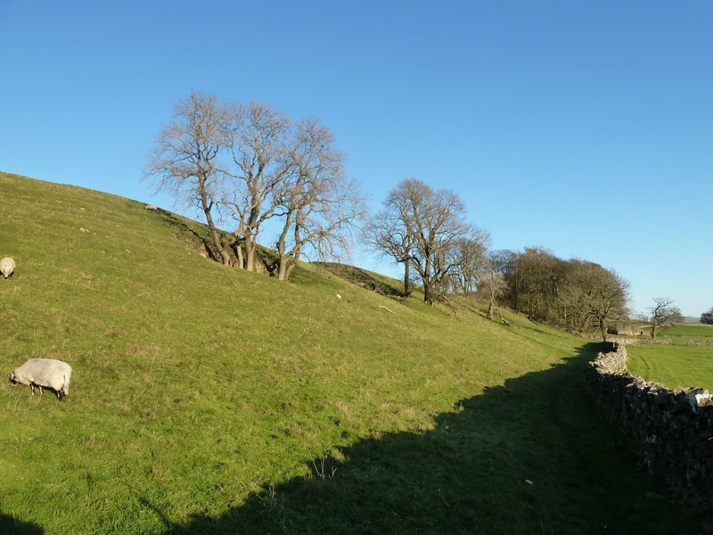 Wensleydale